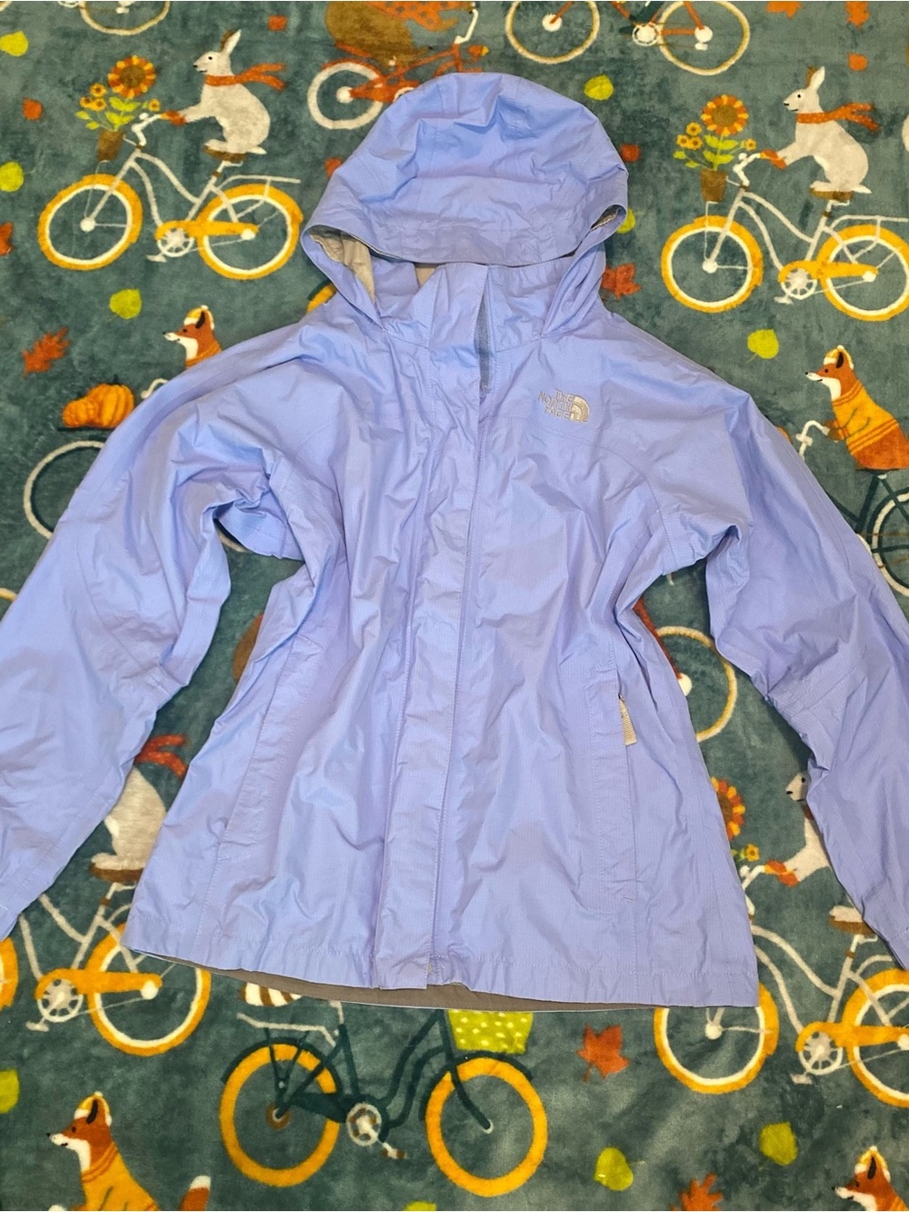 The North Face Women's Periwinkle Blue Waterproof Hooded Windbreaker Jacket
